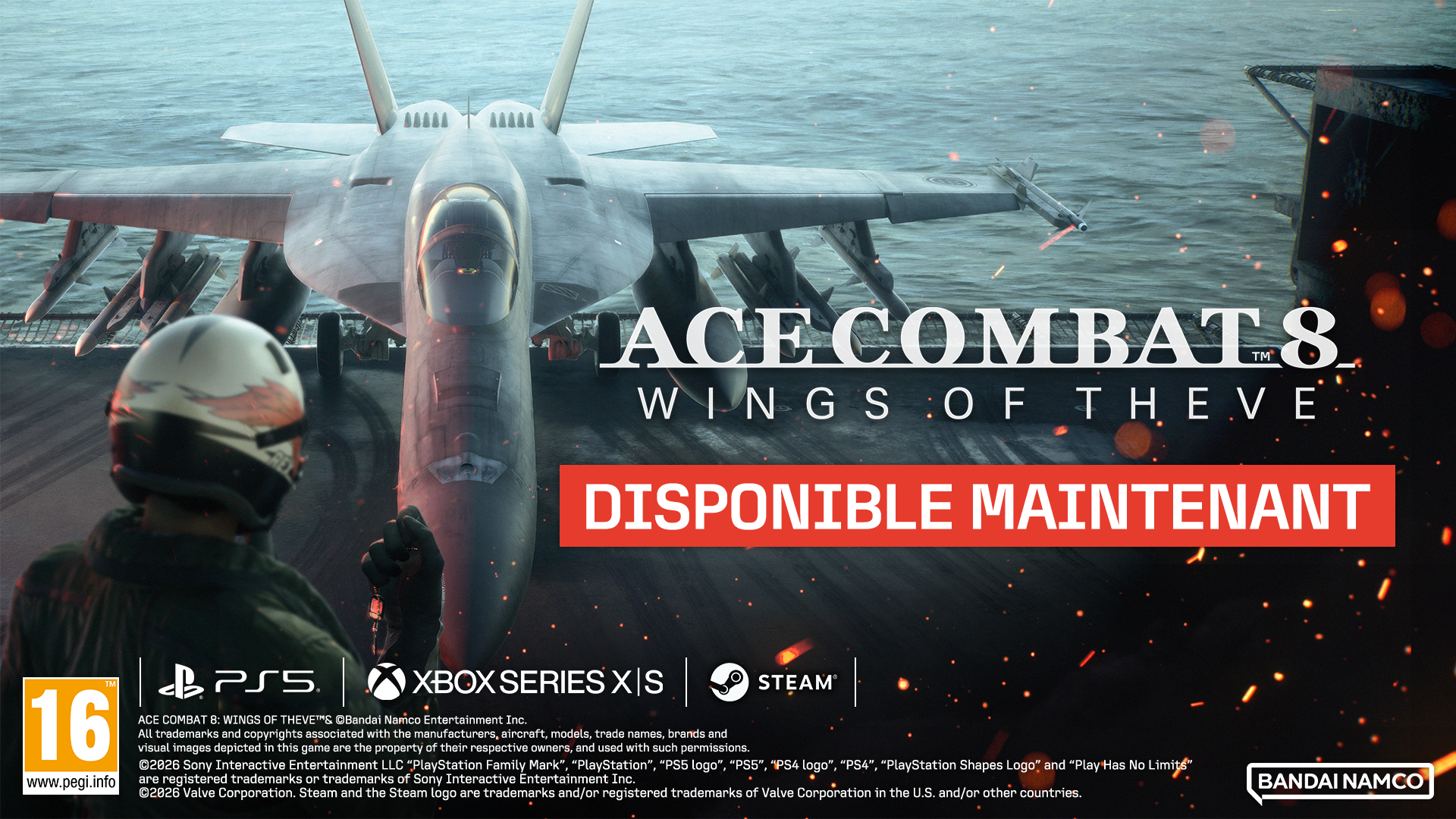 Ace combat 8 - Standard Edition
